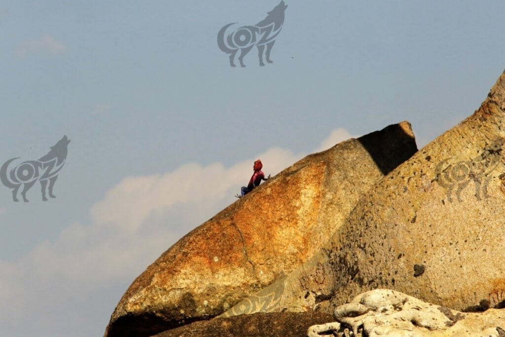 common agama